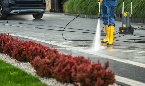 Boat and Dock Cleaning in Goldenrod, FL